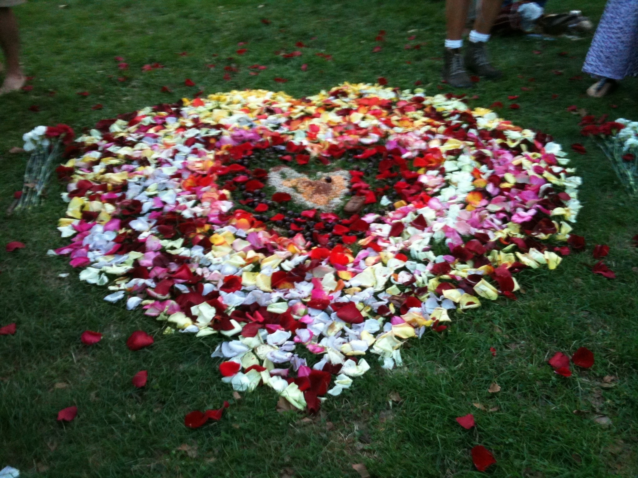 Heart of Flowers