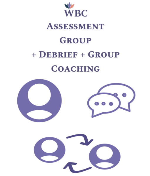 Vital 33 Group Assessment + CEO Debrief + Group Coaching