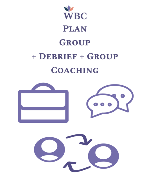 Motivators Group Graphs + CEO Debrief + Group Coaching