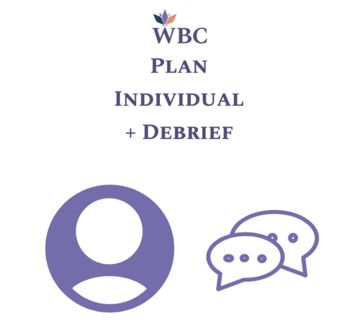 DISC Sales & Motivators Plan + Individual Debrief