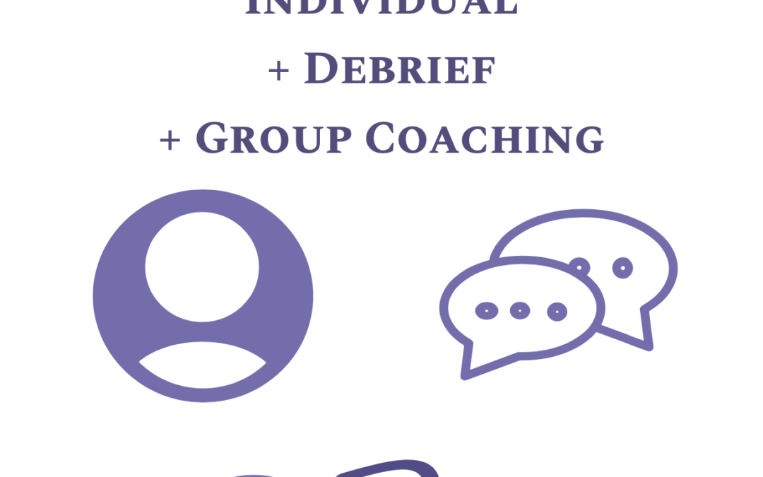 DISC Leadership Plan + Individual Debrief + Group Coaching