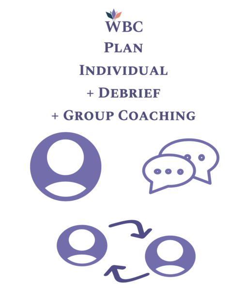 DISC Self Report + Individual Debrief + Group Coaching