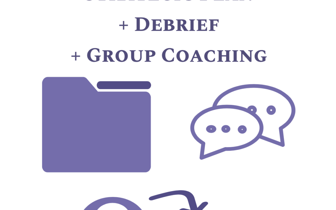 All WBC Exclusive Strategic Plans & Individual Debrief & Group Coaching SAVE ($1,000)